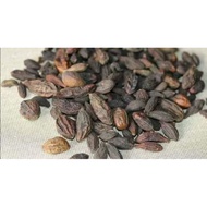 100g Belimbing bukit / Kelentit kering/ Buah Langkau/senggugut/buasir