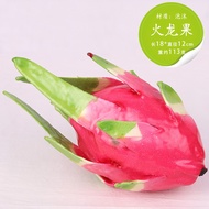 【Ready stock】Simulation pitaya model simulation fruit and vegetable props display red dragon fruit d