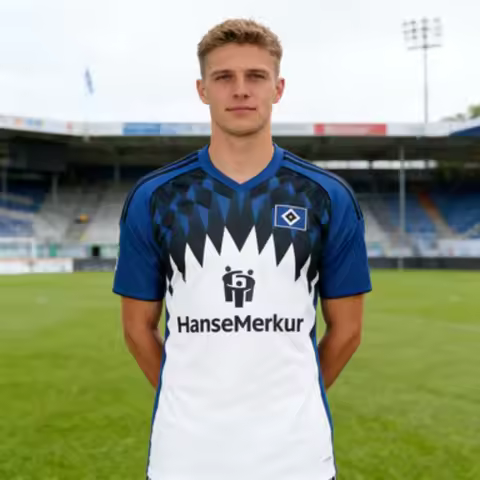 Hamburger SV Home and Away Football Jerseys Short Sleeved Sports T-shirt Same for Adults and Childre