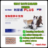 CYSTAIDS PLUS Ubat Batu Karang Untuk Kucing Urinary Tract Supplement Cat Sakit Buah Pinggang Kencing