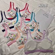 Children's Underwear Girls' Soft And Comfortable Foam Bra 8-16 Years Old Bust 20-34 Inches sport bra