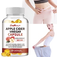 APPLE CIDER VINEGAR CAPSULE | 800 mg | 120 capsules | Supports natural weight loss, digestion and me