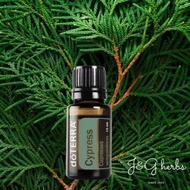 Cypress (Cypress Essential Oil) 15ml