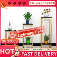 Flower pot stand[SG stock]plant stand/flower stand/plant rack stand/flower rack stand/flower pot sta