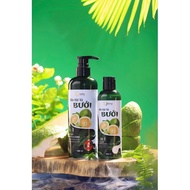 Grapefruit Conditioner Shampoo, Ginger Conditioner And CATCHY Herbs 2 IN 1 500ML