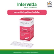 Ferro-B [แท้💯] อาหารเสริมบำรุงเลือด สำหรับสุนัขและแมว (Dr.Choice / Intervetta)