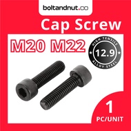 M20 M22 Hex Socket Cap Screw DIN912 | Alloy Steel Grade 12.9 | Black Oxide | M20 Screw M22 Screw | S