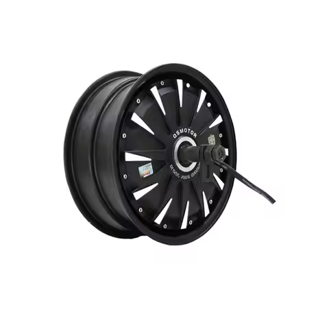 12 Inch Extra Wide Tire Energy Saving Hub Motor 1500W/2000W/3000W, Single Hall Disc Brake for Electr