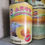 Labu Emas 868 200gm Yong Fung Seeds