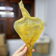 鳘鱼花胶 1 piece 90-110g 马来西亚野生鱼胶 Thread Fin Fish Maw 90-110g Ikan Maw