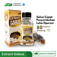 Ekstrak Ikan Gabus 60 Kapsul Mempercepat Penyembuh Luka dan Pasca Caesar