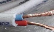 【限時下殺】電線電纜 2*0.3平方 2芯軟 擠壓線  2*0.3 信號線  1米價格