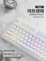 Ouxide Pure White PBT Light-transmitting Height Keyboard Key Cap 68/75/87/98/108 Key Small Full Set