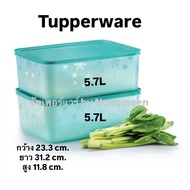 Tupperware Chill Freez Large 5.7L (1 Piece) (Choose Color)