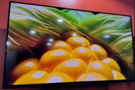 Sony 43吋 43inch X80L 4K Google smart tv 智能電視