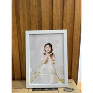 Certificate frame (A4)21x30,(A5)15x21, cheap shiny mica frame