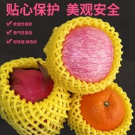 Popular Recommendation-Fruit Shockproof Net Cover Manufacturer Guava Net Cover Mango Net Cover Apple