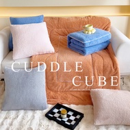 Thick Solid Color Minky Pillow Blanket, Convertible Pillow Quilt, Inner Core  被子-5105