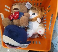 鯊魚貓 鯊魚公仔 火斑貓 ted泰迪賤熊