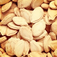Biji benih kundur panjang dan besar/winter melon seeds/特长冬瓜种子/
