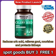 【Official Shop】Wright Life Uric Acid Care Supplement – 90 Capsules Kidney Support – Gout Relief, Uri