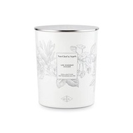 VAN CLEEF & ARPELS 梵克雅寶 VCA CE LES MIMO. D HIVER  梵克雅寶冬季含羞草香薰蠟燭