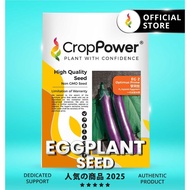 (5 GRAM/10 GRAM) Biji Benih Terung Panjang Optimus Prime 擎天柱 EG2 CROP POWER F1 Hybrid Long Eggplant 
