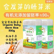 500g Organic Baby Germ Rice Soft Glutinous Nutrition Organic Baby Germ Rice Baby Rice Baby Healthies