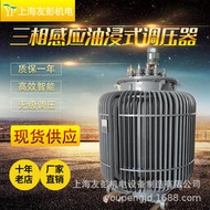 三相感應油浸式調壓器tsja-250k自動可調變壓器650