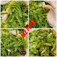 LATOK FRESH 1KG & 2 SOUCE