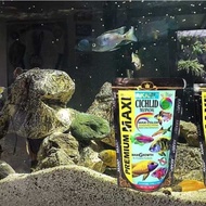 [CICHLID FEED] Akari Premium Maxi Cichlid Fish Pellets with New FORMULA