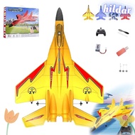 HILDAR 2.4ghz Rc Remote Control Fighter Plane, Electric Foam Remote Control Fighter Jet, ZY-530 USB 