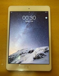 iPad mini 2