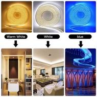LED strip light 3535 120 LED /220V Waterproof Sold per roll 3535 type - 120led blue 35
