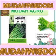 B11 MUDAH MART 80biji/pack ASPARAGUS 芦笋 VEGETABLE SEED BENIH SAYUR