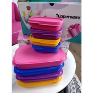 READY STOK TUPPERWEAR/Foodie Buddies (4)/TUPPERWEAR MURAH