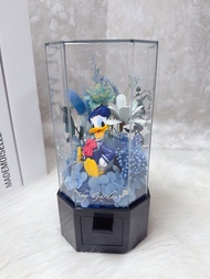 唐老鴨 藍玫瑰 索拉花 永生花 燈 玫瑰 保鮮花 花束 公仔花 玻璃罩 玻璃瓶繡球花 花 生日禮物 畢業禮物 結婚禮物 情人節禮物 情侶禮物 母親節禮物  畢業禮物 浸禮禮物 畢業花 畢業花束 聖誕禮