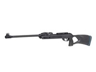 【武莊】GAMO ROADSTER IGT 10X 5.5mm鉛彈槍喇叭彈槍空氣槍空氣折槍-E01191