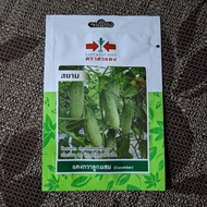 BENIH@ SEEDS TIMUN / CUCUMBER THAILAND PANAH MERAH