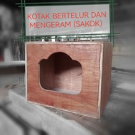 KOTAK BERTELUR DAN MENGERAM UNTUK AYAM SERAMA BURUNG MERPATI