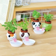 Peropon 吐舌動物自動吸水種植組