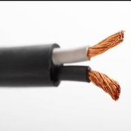 สายไฟ VCT 2x6 แอ็นท์ ANT ม้วน 100เมตร 10m 20m 30m Cable Wire