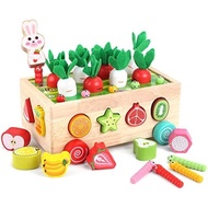Children Montessori Wooden Educational Toys Suitable for 1-2-3 Years Old Boys Girls Shape Classifica