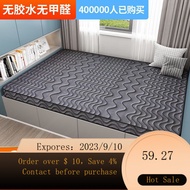 Environmental Protection Coconut Palm Fiber Mattress1.5M Cocoanut Matting Latex Children's Mattress Folding Mattress1.8