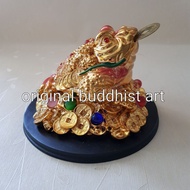 Lucky fengshui frog 8 pearls