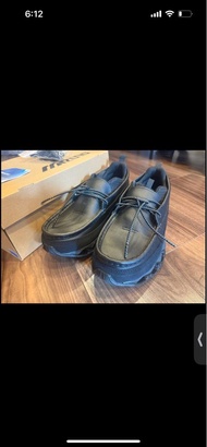 Mizuno wave prophecy moc