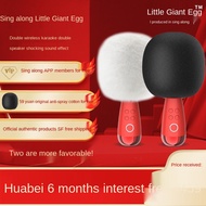 Sing it, big egg microphone, microphone, audio integrated, home wireless Bluetooth, national karaoke microphone g2pro