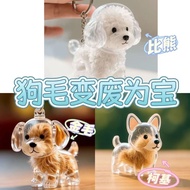 Hot-Selling Cute Puppy Transparent Storage Box for Pet Hair, High-Value Pet Hair Keepsake Box ling 0