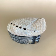 Abalone Shell Jewelry Box Abalone Shell Jewelry Box by Kharisma Shell Indonesia