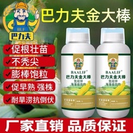 Balifu Golden Big Rod Nitrogen Zinc Silicon Corn Incremental Fertilizer Nitrogen Fertilizer Zinc Fer